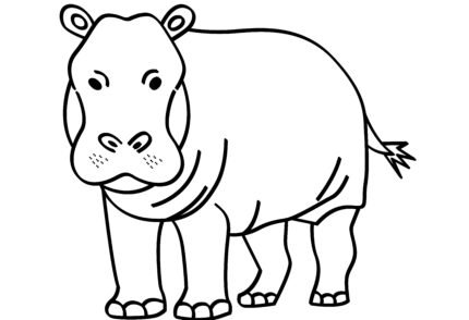 Hippo drawing for kids and coloring book