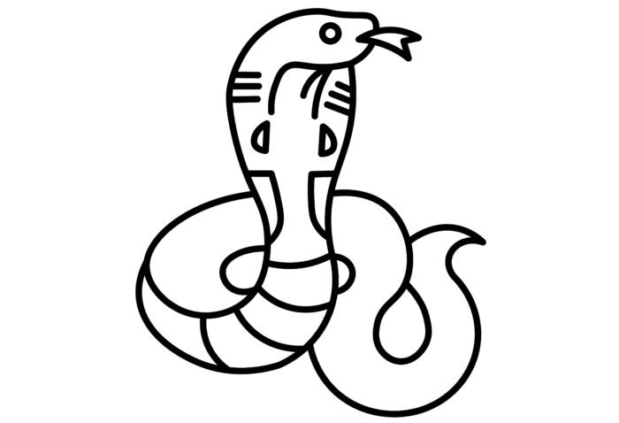Snake drawing for coloring book